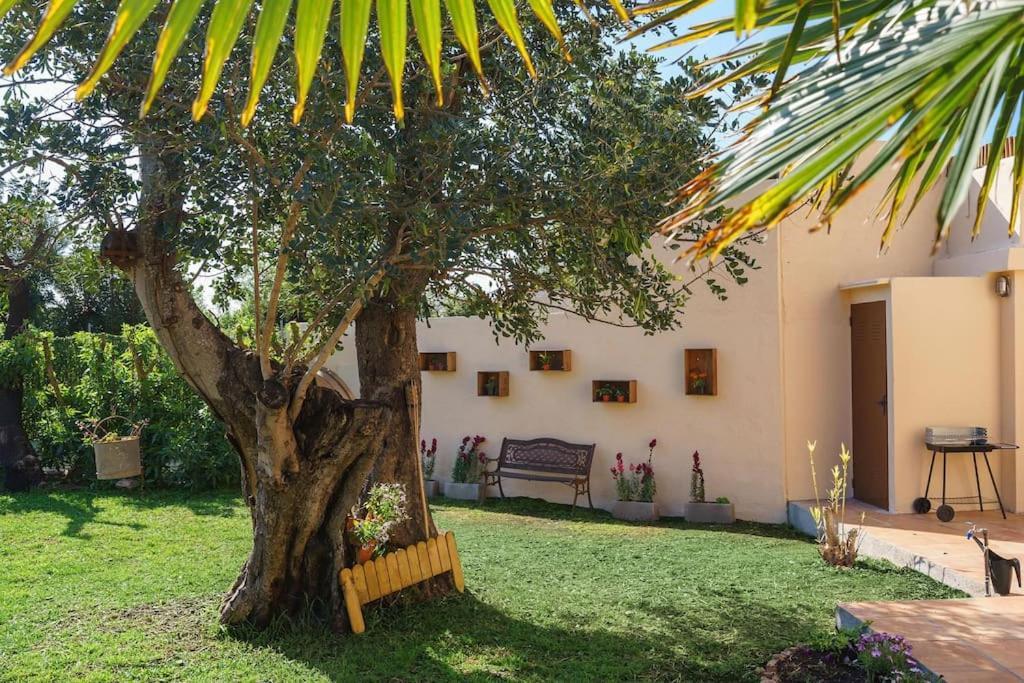 “can Bandera Sunrise” Villa Pollença