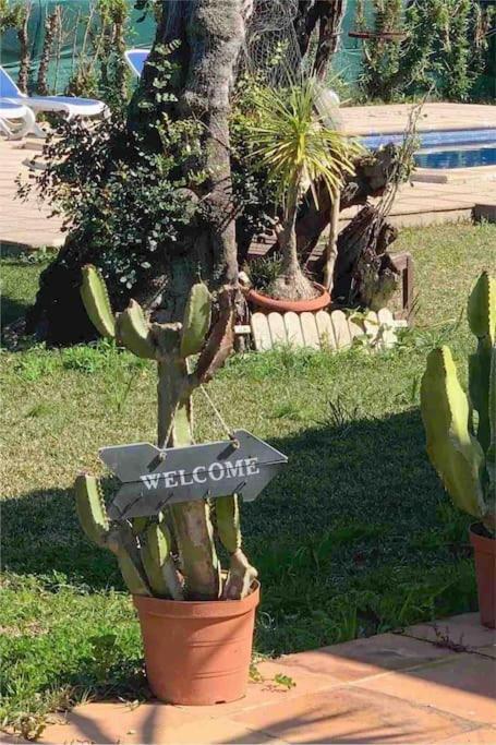 “can Bandera Sunrise” Villa *